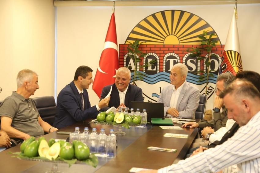 Alanya avokadosu dünyaya açılıyor: Avrupa Birliği Coğrafi İşaret için resmi başvuru yapıldı!