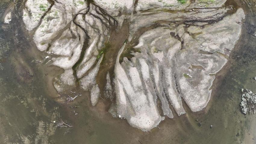 Türkiye'nin önemli tarımsal üretim merkezlerinden Edirne'de kuraklık alarmı! Tunca Nehri'nde durum kritik