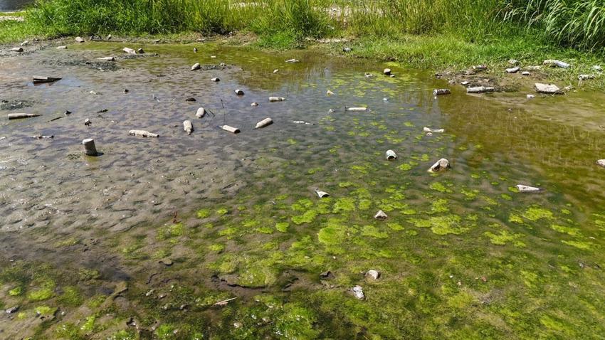 Türkiye'nin önemli tarımsal üretim merkezlerinden Edirne'de kuraklık alarmı! Tunca Nehri'nde durum kritik