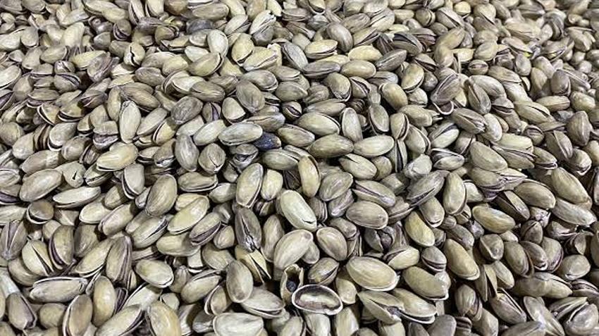 Şanlıurfa'da kapış kapış satılıyor! Fiyatı fındığı, fıstığı solladı: Kilosu 1.200 TL