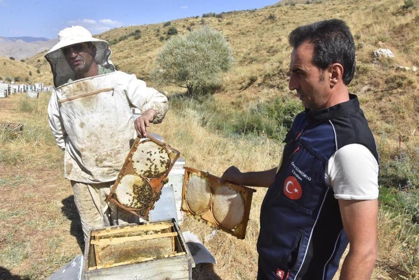 Trump ve Macron'a Bitlis'ten gitti! 2.100 metre yükseklikte üretim patladı, hasat zengin edecek