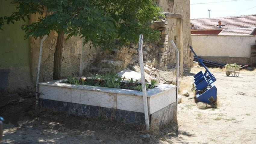 Ankara'da köylülerin bahçesinden çıkıyor! Yunanlılar akın ediyor, 105 yıllık sır: Devlet istedi, vermeyiz
