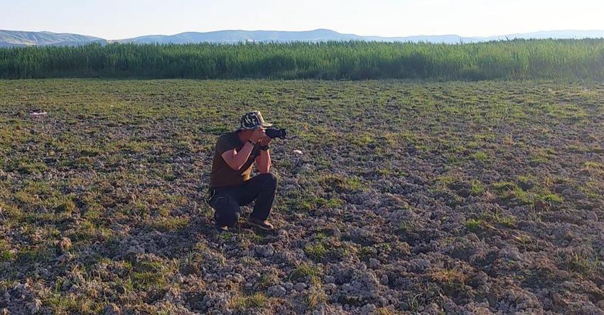 Doğu'nun saklı cenneti keşfedilmeyi bekliyor: Büyük İron Sazlığı 100'ün üzerinde kuş türüne ev sahipliği yapıyor!