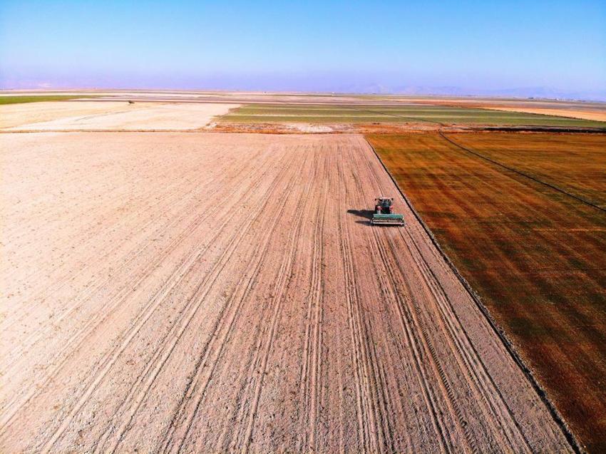 Konya Ovası'nda ekim sezonu hazırlıkları başladı: Sertifikalı tohum kullanmayan çiftçiler dikkat! %10 verim farkı oraya çıktı