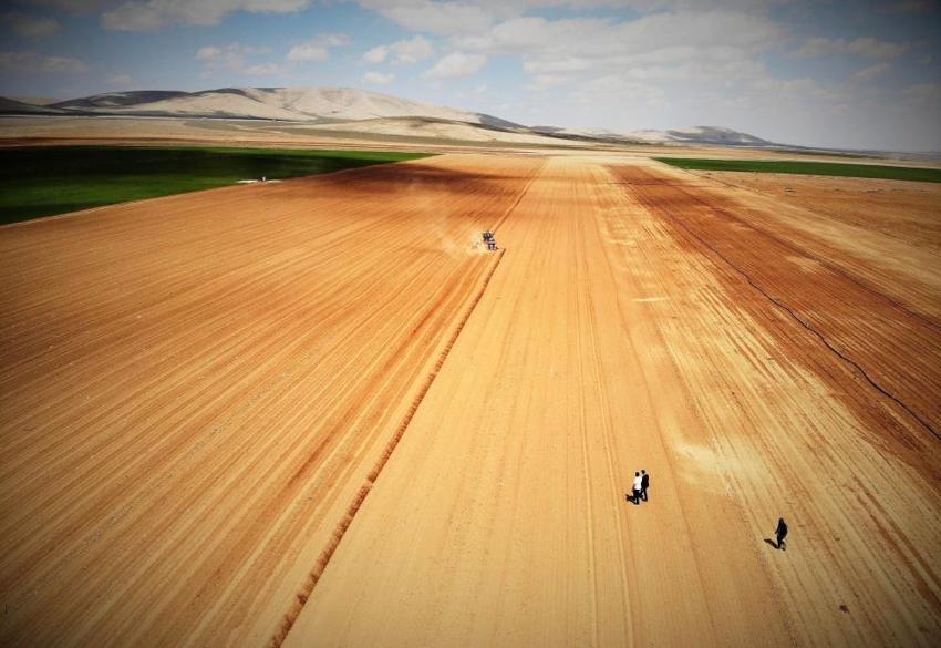 Konya Ovası'nda ekim sezonu hazırlıkları başladı: Sertifikalı tohum kullanmayan çiftçiler dikkat! %10 verim farkı oraya çıktı