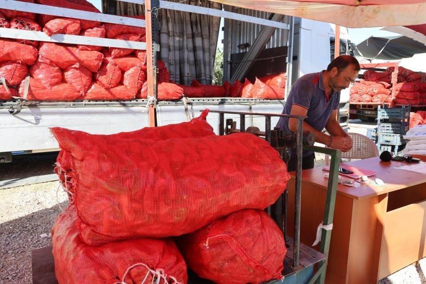 Çukurova'da kışlık salça mesaisi başladı: Yüzlerce kilo biberi böyle taşıdılar!
