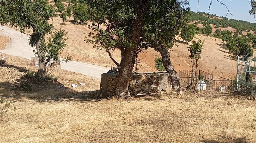 Bingöl'de tepeye gömüldü, köyün kaderi değişti! 300 yıllık gizem: Yapmadığımız sene felaket yaşandı
