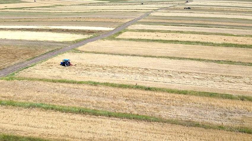 Kars tarlalarında altın değerinde arpa hasadı: Rekolte %60 artışla çiftçinin yüzünü güldürdü!