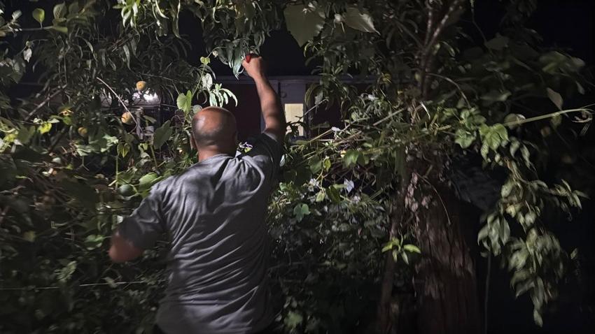 6 aydır mahalleli dehşeti yaşıyor! Bir tıkırtı yetiyor, herkes sokağa fırlıyor: Gece saatlerinde fenerlerle iz sürüyorlar