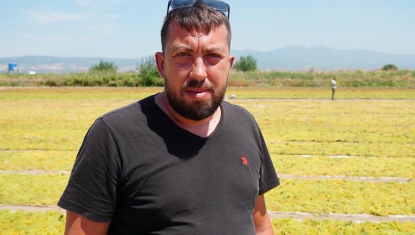 Manisa'da üzüm hasadı başladı: Asmadaki bolluk sergiye yansımadı