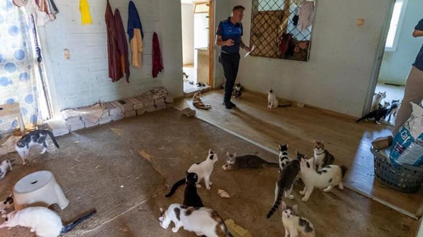 Mersin'de ağır koku ihbarına giden ekipler şaşkına döndü! Tek bir evde tam 100 tane bulundu