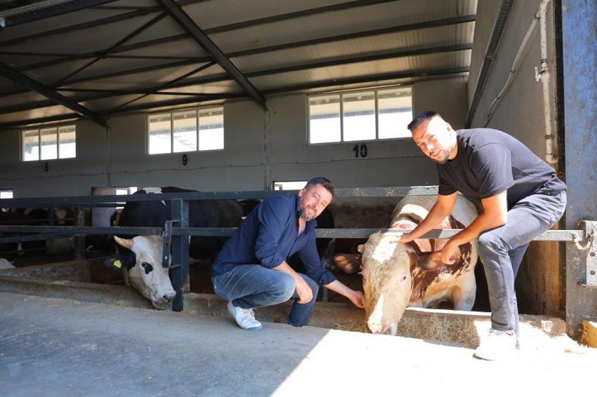 Müşterisinin elektrik işini yaparken hayvancılığa başladı! Hayatı tamamen değişti, 200 hayvanla dev çiftlik sahibi oldu!