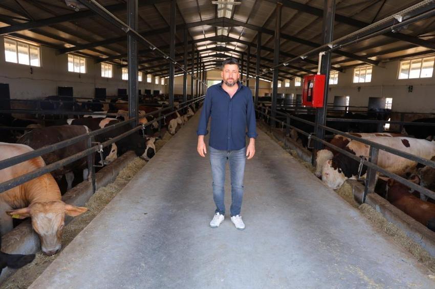 Müşterisinin elektrik işini yaparken hayvancılığa başladı! Hayatı tamamen değişti, 200 hayvanla dev çiftlik sahibi oldu!