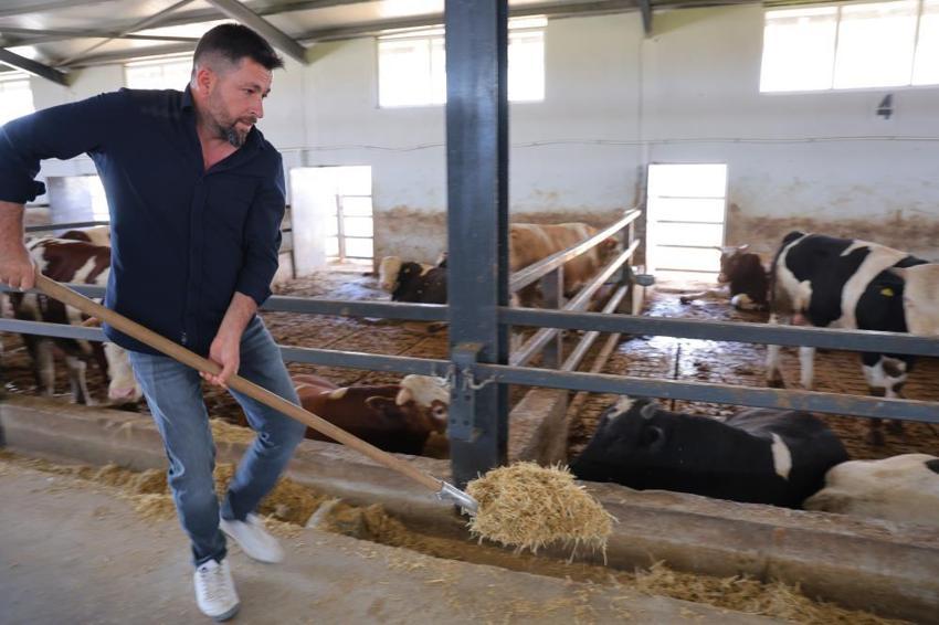 Müşterisinin elektrik işini yaparken hayvancılığa başladı! Hayatı tamamen değişti, 200 hayvanla dev çiftlik sahibi oldu!