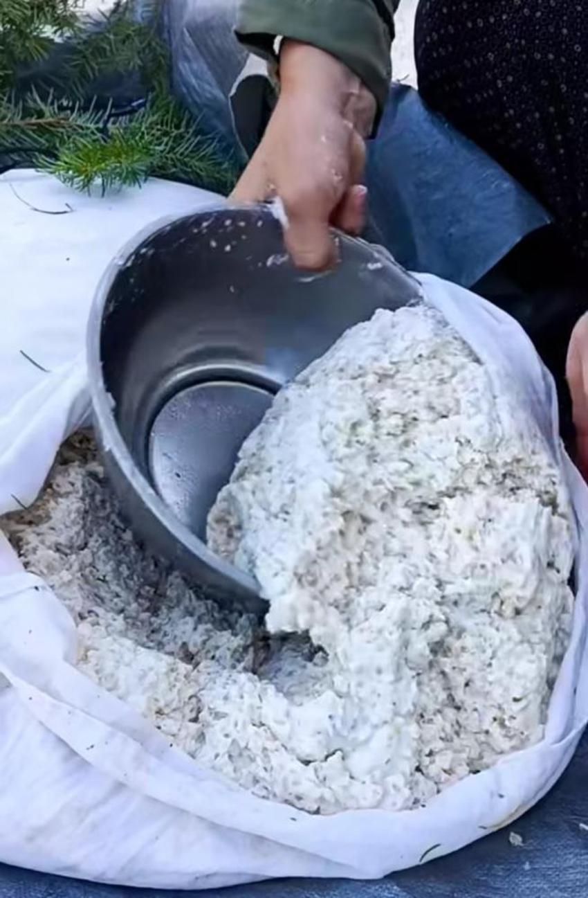 Kahramanmaraş'ta imece usulü hasat! Sırrı mezla dallarında