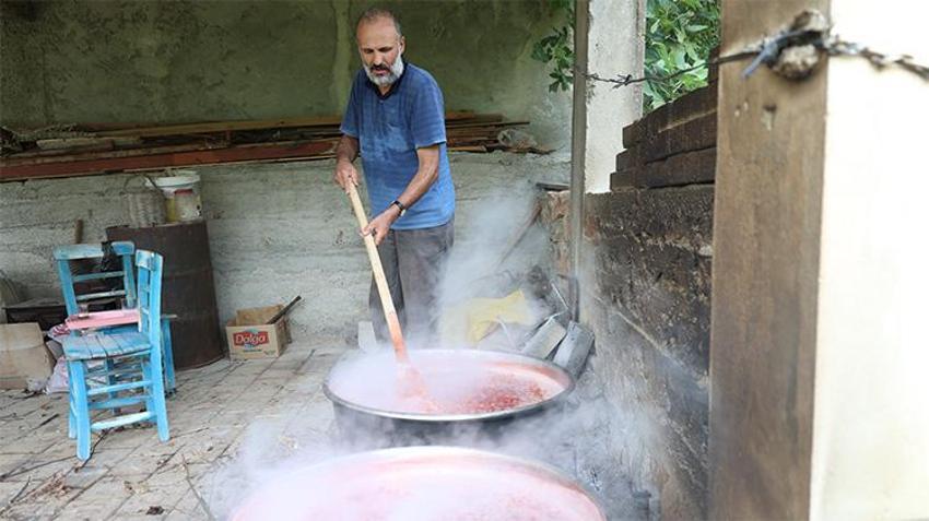 Dalında 100 TL, kazana girince 1000 TL! Kozan'da 'kızıl altın' mesaisi başladı