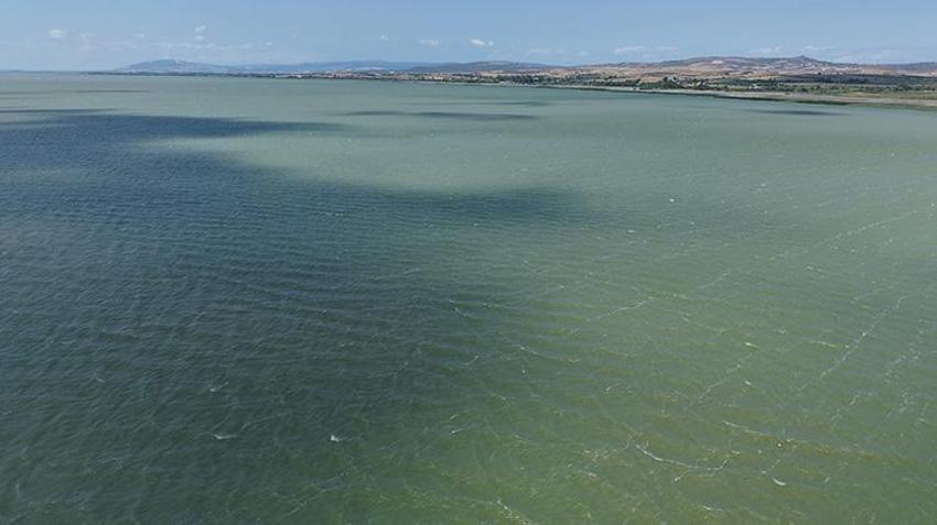 Uluabat Gölü'nde alarm: Ramsar koruma altındaki göl alg patlaması nedeniyle yeşile büründü!