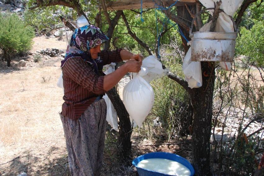 Yörüklerin asırlık geleneği: Manavgat pazarlarında kapış kapış gidiyor! Buzdolabı yerine yerin 30 metre altında saklanıyor