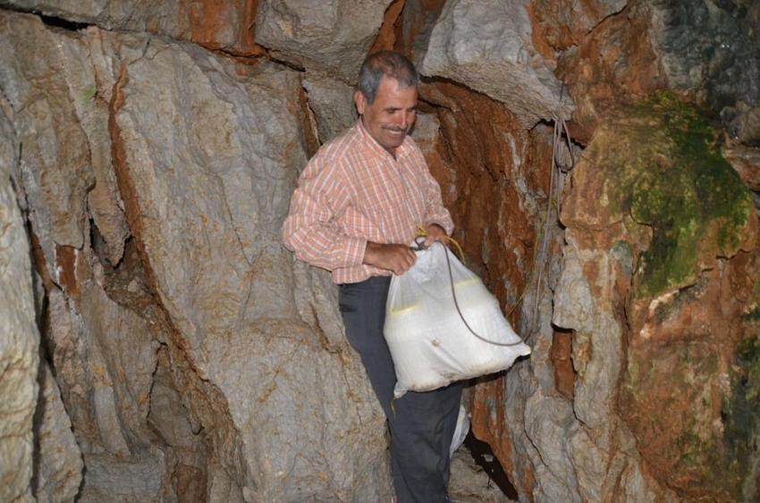 Yörüklerin asırlık geleneği: Manavgat pazarlarında kapış kapış gidiyor! Buzdolabı yerine yerin 30 metre altında saklanıyor