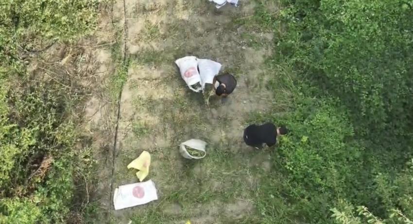 Bafra'da büyük uyuşturucu operasyonu: 138 kilo 610 gram kubar esrar ele geçirildi!