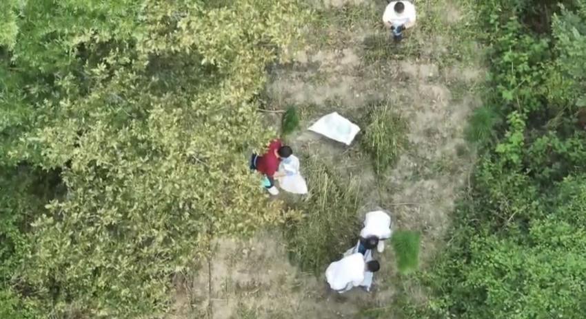 Bafra'da büyük uyuşturucu operasyonu: 138 kilo 610 gram kubar esrar ele geçirildi!