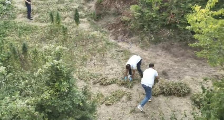 Bafra'da büyük uyuşturucu operasyonu: 138 kilo 610 gram kubar esrar ele geçirildi!