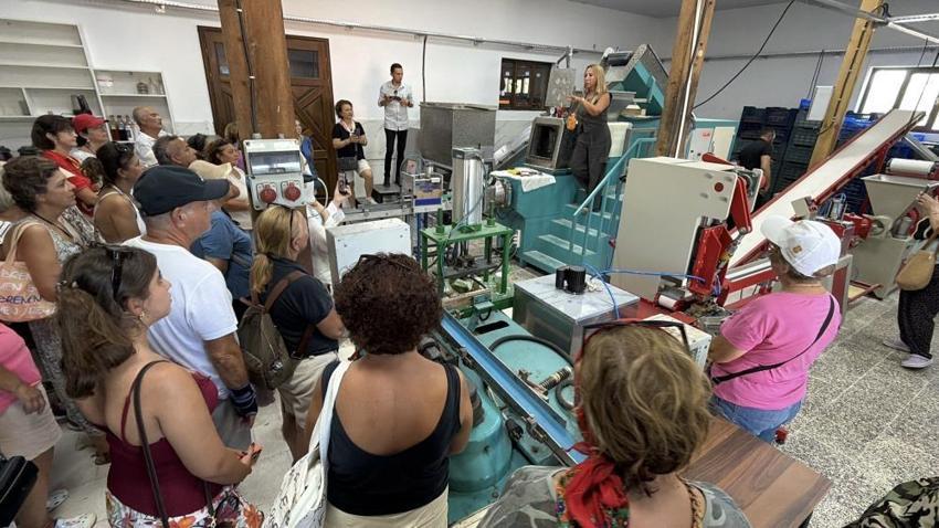 Turistler oraya akın etti! Hem hasat yaptılar hem de tarihi yerleri keşfettiler