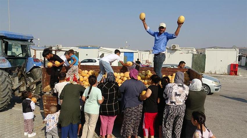 Hataylı üretici tanesini 5 TL satmak istemedi, 50 ton ürünü bedava dağıttı