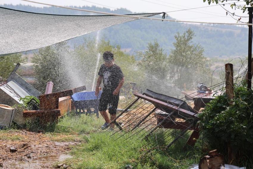 Adana’da kavurucu sıcaklara karşı ilginç çözüm! Koyun ve keçilerini böyle serinletiyor