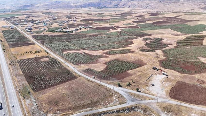 Sivas'ta üretimi yüzde 109 arttı: 190 bin dönüm alanda çiftçiler başardı