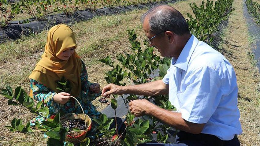 Eşinin ısrarıyla başladı, atıl araziyi servete dönüştürdü! Şimdi siparişlere yetişemiyor