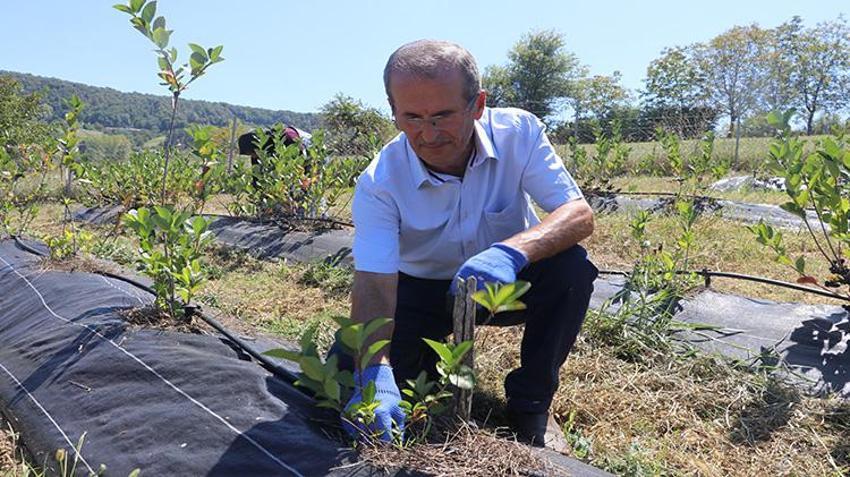 Eşinin ısrarıyla başladı, atıl araziyi servete dönüştürdü! Şimdi siparişlere yetişemiyor
