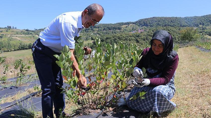Eşinin ısrarıyla başladı, atıl araziyi servete dönüştürdü! Şimdi siparişlere yetişemiyor