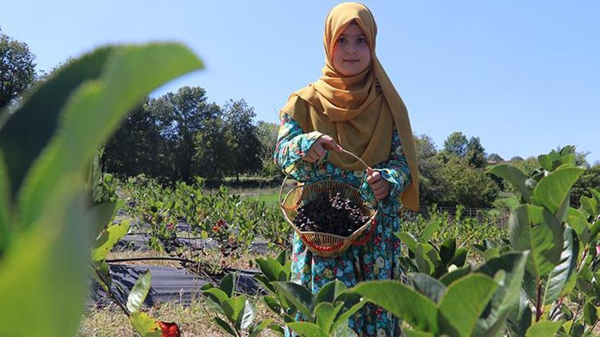 Eşinin ısrarıyla başladı, atıl araziyi servete dönüştürdü! Şimdi siparişlere yetişemiyor