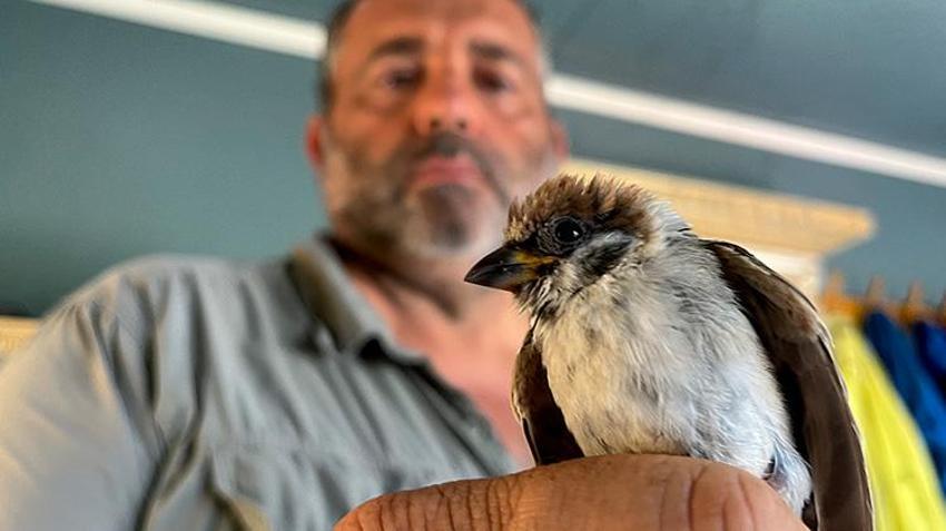 İspanya'dan Iğdır'a uzanan kuş sevdası: 8 yıllık gönüllü destek