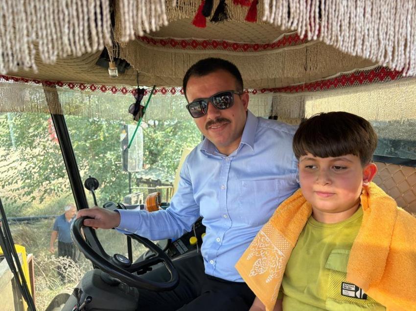 Osmaniye'de 6 farklı çeşit tarlada test edildi! Düziçi'nde yerli ve milli ayçiçeği hasadı başladı