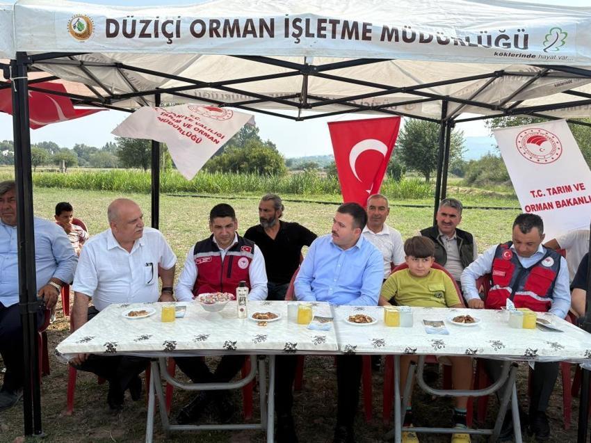 Osmaniye'de 6 farklı çeşit tarlada test edildi! Düziçi'nde yerli ve milli ayçiçeği hasadı başladı