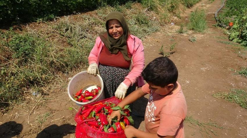 40 derece havada bir de acıyla yanıyorlar: Hatay'da elleri yüze gitmiyor