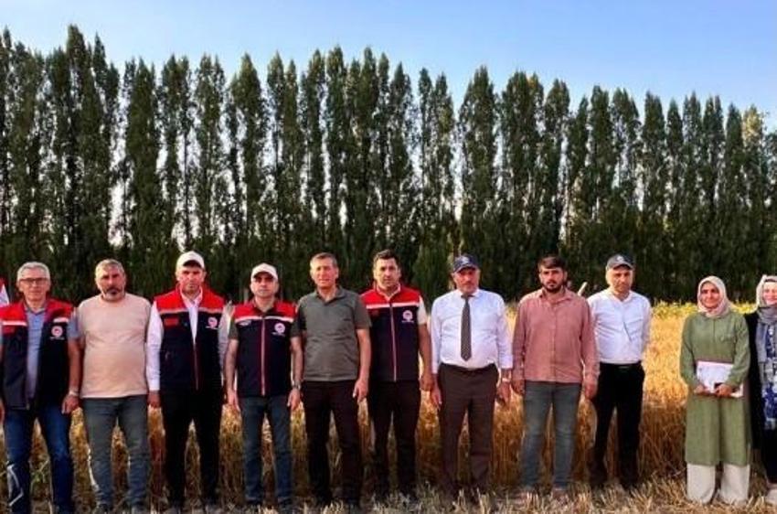 Erzurum’da geliştirildi, Türkiye’ye yayılıyor! Yüksek verimiyle çiftçinin yüzünü güldürecek