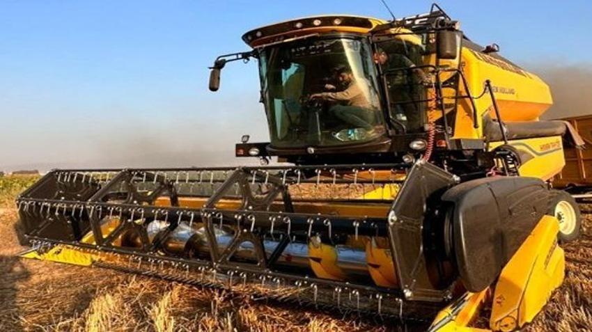 Erzurum’da geliştirildi, Türkiye’ye yayılıyor! Yüksek verimiyle çiftçinin yüzünü güldürecek