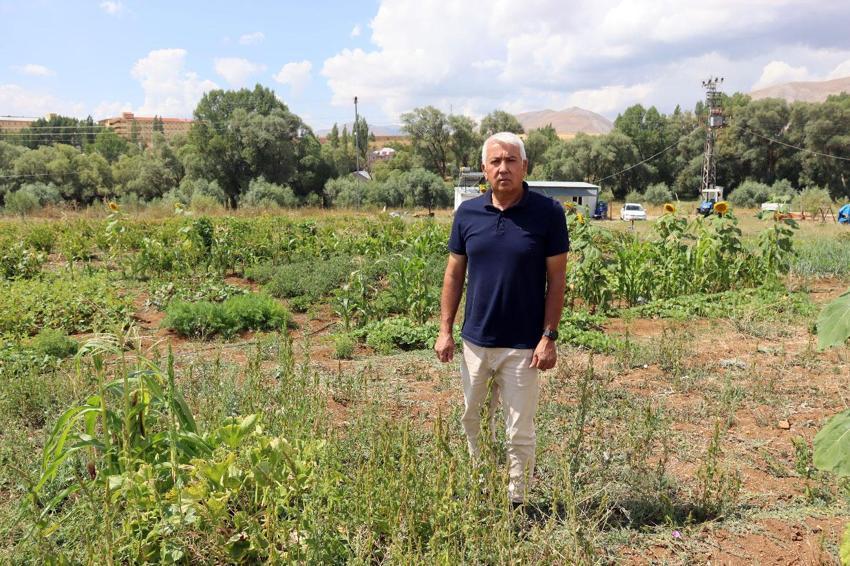 Süper meyve aronya ile ilçeyi kalkındıracaklar