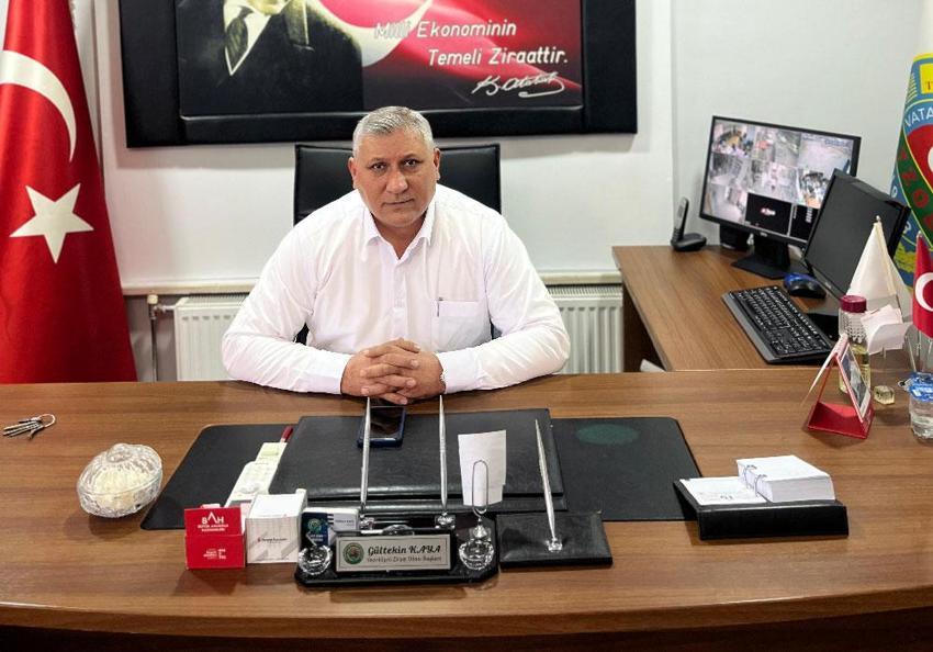Vezirköprü’de yağlık ayçiçeğinde hasat mesaisi başladı
