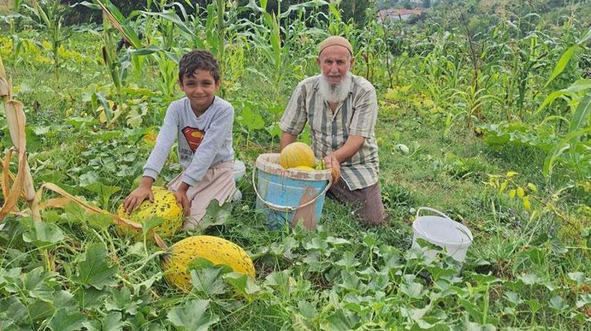 Türkeli’de küçük ölçekli tarımsal üretim büyük ürün verdi