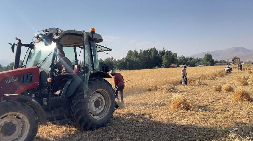 Hakkari'de asırlık gelenek: Yüksekova'da imece usulü hasat dönemi devam ediyor