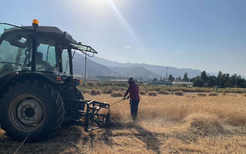 Hakkari'de asırlık gelenek: Yüksekova'da imece usulü hasat dönemi devam ediyor
