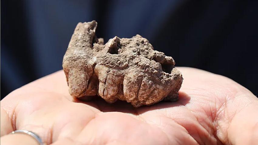 Çin'den gelip Şanlıurfa'nın köyünde keşfettiler! 2.Göbeklitepe ifşa oldu, dünyayı sarsacak