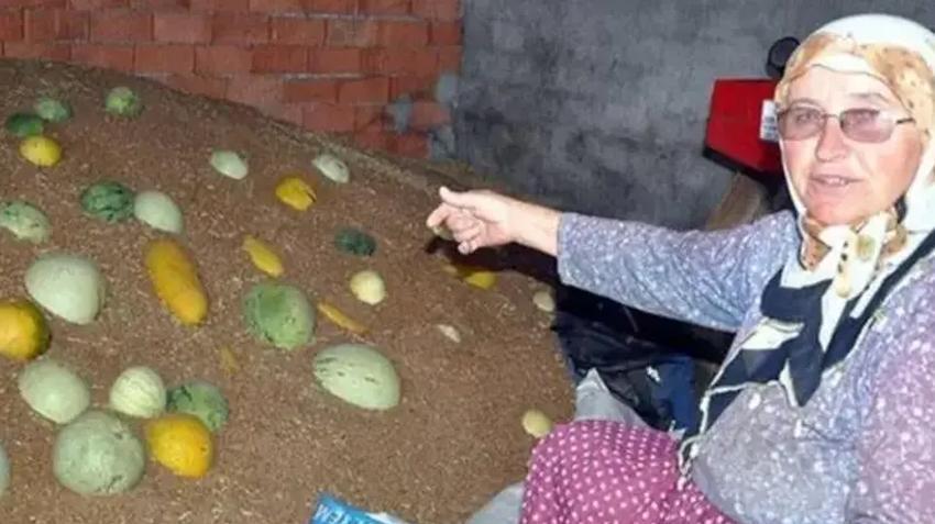 Sadece Bursa'dan çıkıyor, tarlada görenler yüzüne bakmıyor! Hırsız almaz'ın fiyatı altını solladı