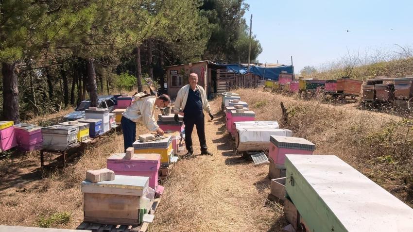 Bursa'da babasının hastalığı için başladı: 51 yıllık mesleği oldu! 60 kovan, 1 milyon 200 bin işçi arı onun için çalışıyor