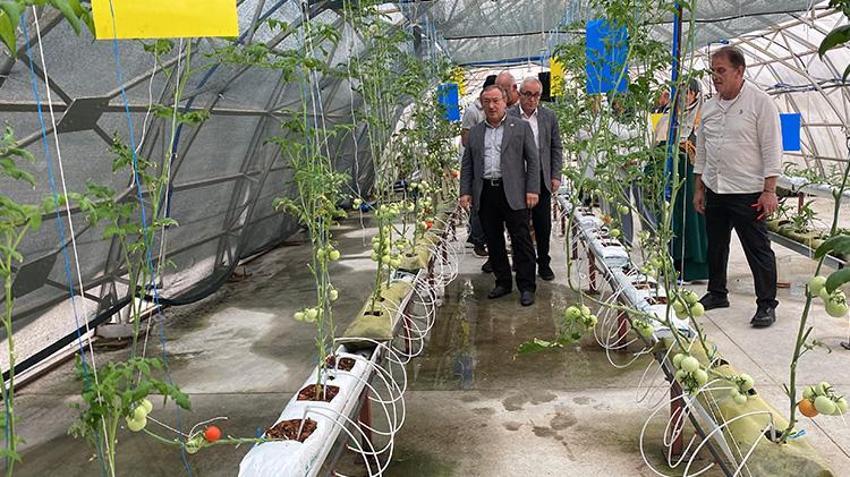 Riz'de çay atığı dövize dönüşecek; 'çaykopit’le üretimde ilk mahsuller alındı