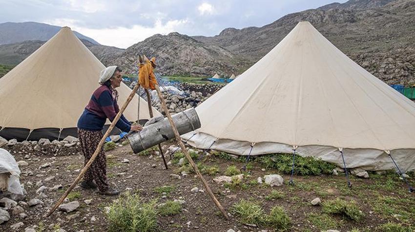 Ayı ve kurt saldırılarına rağmen vazgeçmiyorlar! Tuncelili köylülerin 3 bin rakımdaki zorlu mesaisi